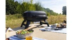 Napoleon TravelQ 240 Portable Gas BBQ -Great Flame TQ240BK Lifestyle2 1000x563 1
