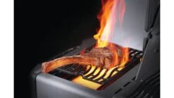 Napoleon Prestige P665RSIBPSS-3 Gas BBQ - Free Rotisserie And Cover -Great Flame prestige sizzle burner 1000x563 1